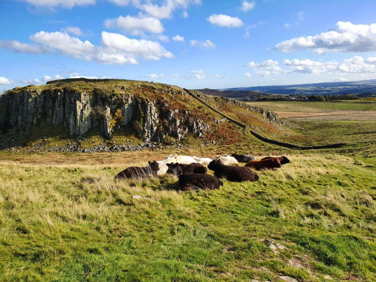 Moonflower Lodge Newton on the Moor Esterno foto